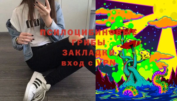 таблы Инсар