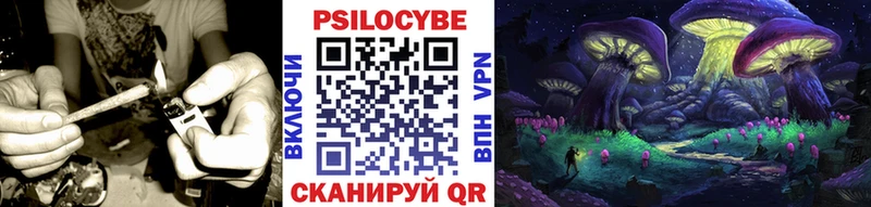 Купить закладки  Козельск  Галлюциногенные грибы Magic Shrooms 