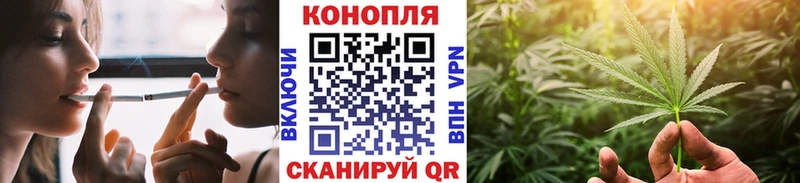 Купить где  Козельск  Каннабис SATIVA & INDICA 
